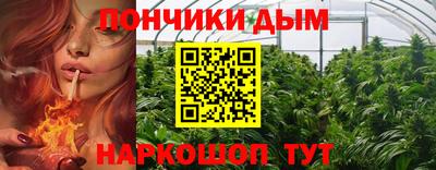 ГАЛЛЮЦИНОГЕННЫЕ ГРИБЫ Заволжье