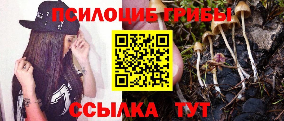 Галлюциногенные грибы Psilocybine cubensis Коммунар