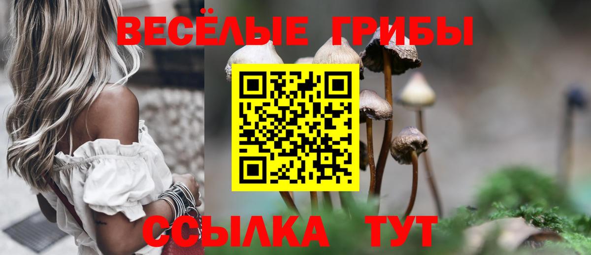 Коммунар  Галлюциногенные грибы Psilocybine cubensis  как найти закладки  Вход с VPN  Галлюциногенные грибы Psilocybe 